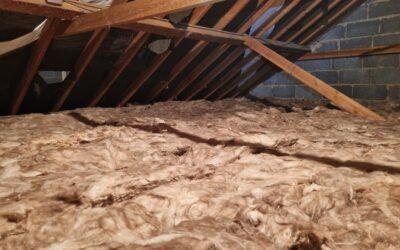 The Benefits of Loft Insulation: Energy Efficiency and Cost Savings