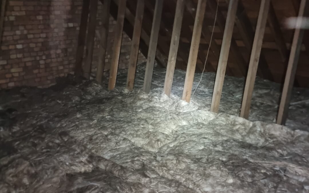 The Ultimate Guide to Loft Insulation in Newmarket